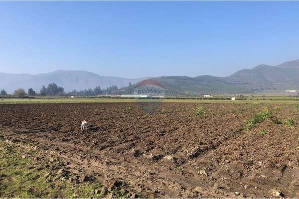 Terreno agrícola con ds de agua en melipilla.