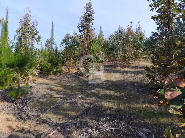 Hermoso sitio en el sector de Paredones.