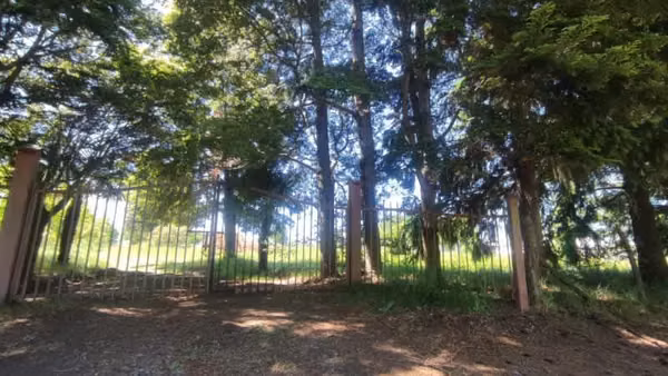 Vende Sitio camino Antuco a 10 km. de Los Ángeles.