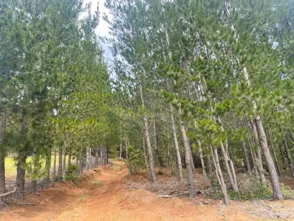 Se Vende  campo de 4 hectáreas en Florida 8va Región
