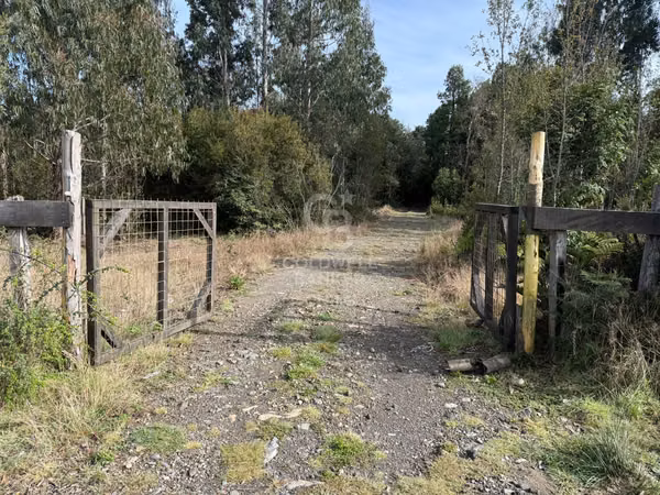 Parcelas en venta – Río Pescado, Km 8