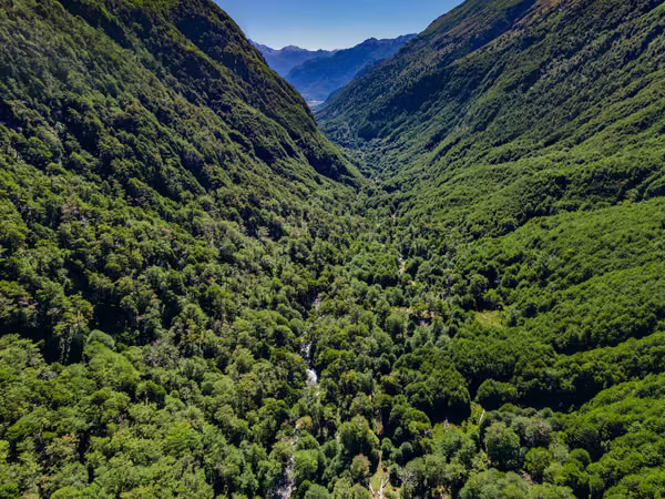Terreno de 9 hectáreas con bosque nativo (134040)