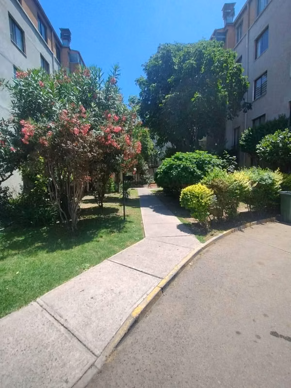 Departamento 1D-1B independencia OPORTUNIDAD