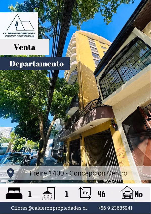 Arriendo hermoso Departamento centro de Concepcion Freire/Janequeo a pasos UdeC