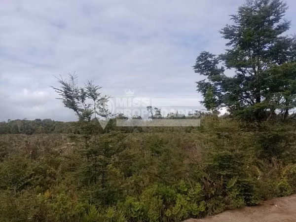 VENDE TERRENO - PARCELA AGRICOLA, REGION DE LOS LAGOS