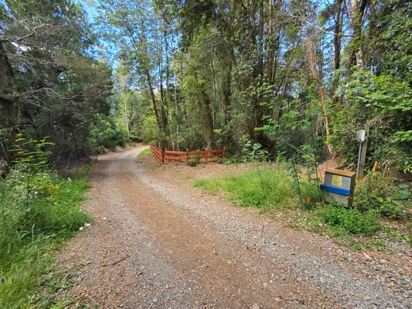 Exclusivo Loteo Los Coihues – Parcelas de 5.000 m² en Sector Casa Blanca