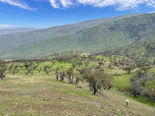 VENTA TERRENO - SITIO 5000MTS Colina