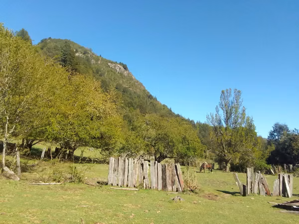 ESTUPENDO CAMPO DE 85.6 HA EN SECTOR DE RIO BLANCO, PUCON