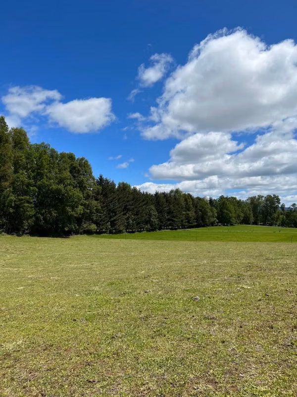 PRECIOSO CAMPO AGRICOLA,SECTOR DE NANCAHUE, LONCOCHE