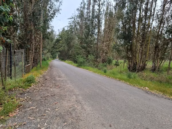 Parcela Agrado 5.000 M2 Con 2 Casas, Tranque San Juan, San Antonio