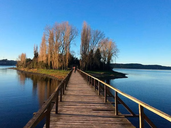 Oportunidad Única en Chiloé: Lote 1 en Laguna Quemchi con Acceso a Laguna Privada.