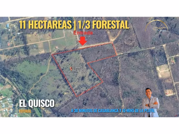 Gran terreno | 11 ha  En El Quisco