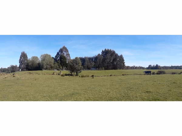 Últimas Parcelas a la Venta en Valle los Canelos, Cercanas a Quemchi
