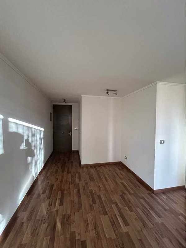 Macul  (139399)