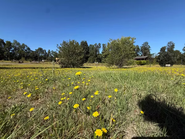 Parcela en venta de 5000m2 ubicado en Camino a Villarrica