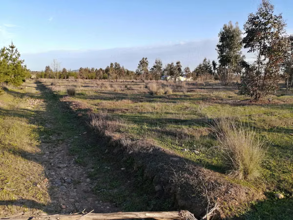 Gran Oportunidad Parcela en venta (140046)