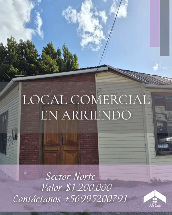 LOCAL COMERCIAL SECTOR CENTRO