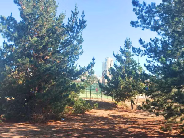 Los Pinos/Reñaca Bajo/Viña del Mar (140532)