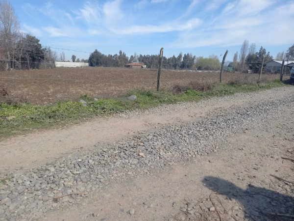 Se vende terreno de 12.500 m2 en Palmilla ( Linares Región del Maule )