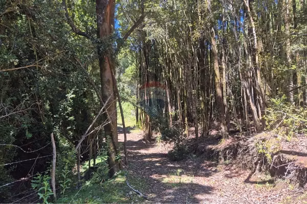 En venta parcela con orilla lago, quellon