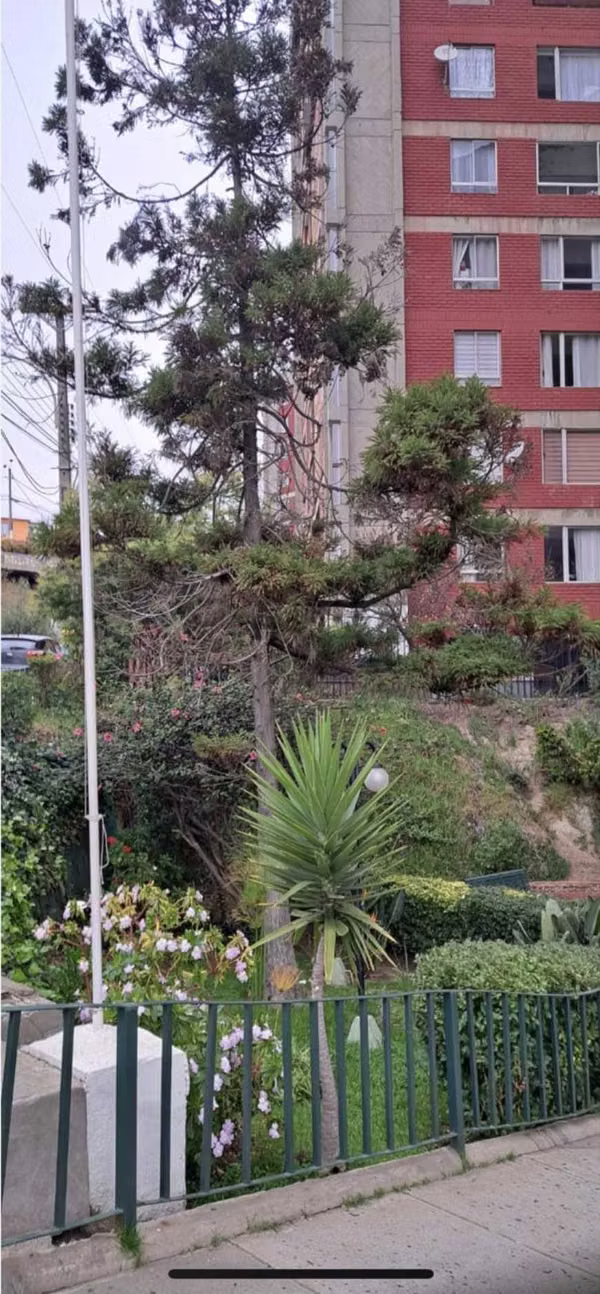 Depto amplio cercano al centro Viña del Mar. (143092)
