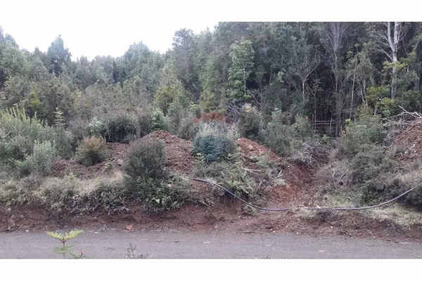 Venta de parcelas en isla caillin quellón