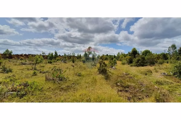 Venta de dos parcelas en ancud chiloé