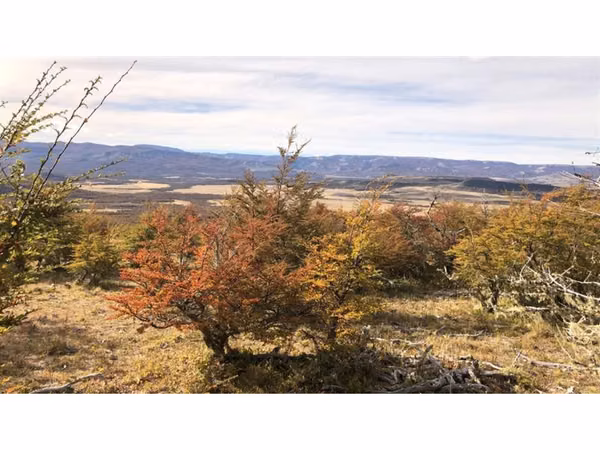 Parcela En Venta En Balmaceda Lote #143
