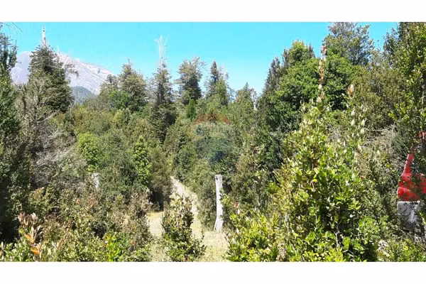 Se venden 22 parcelas continuas puerto varas