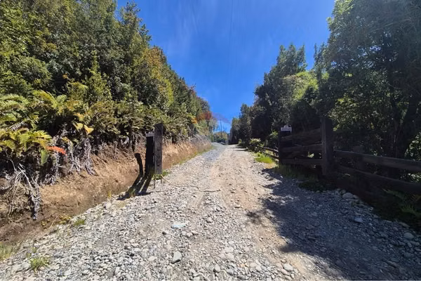 Parcela en bosque, inversion huillinco chiloe