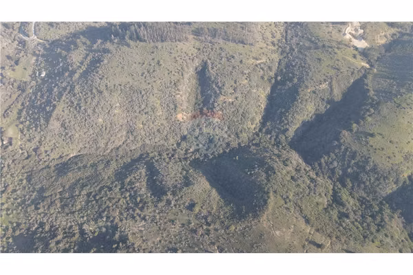 Terreno ganadero 22.6ha en lo abarca, san antonio