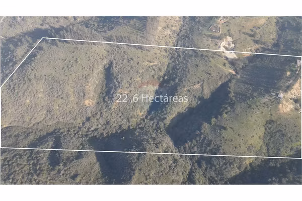 Terreno 22.6ha forestal en lo abarca, san antonio