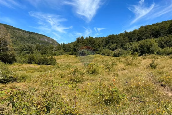Campo 206 ha  cochamó - lago las rocas