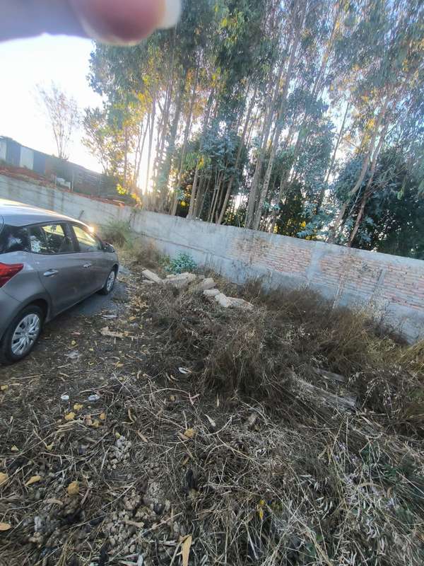 en Venta sitio en Calle Vicente Palacios interior, camino a Dichato