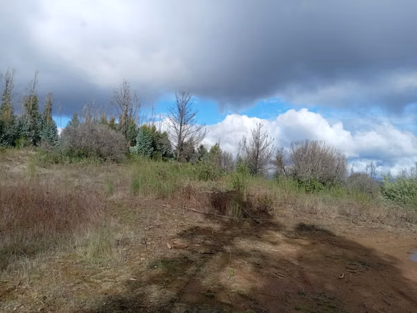 Vendo lotes rol propio a 15 km de Concepción
