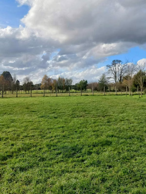 Agrícola en venta de 14ha ubicado en Freire