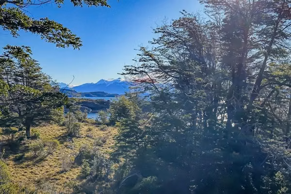 Lake & icefields-view land – chilean patagonia