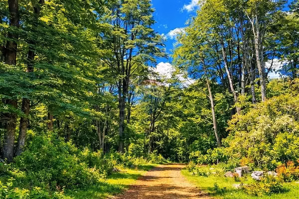 Venta parecela 5.000 mt2 en  ecopueblo coñaripe