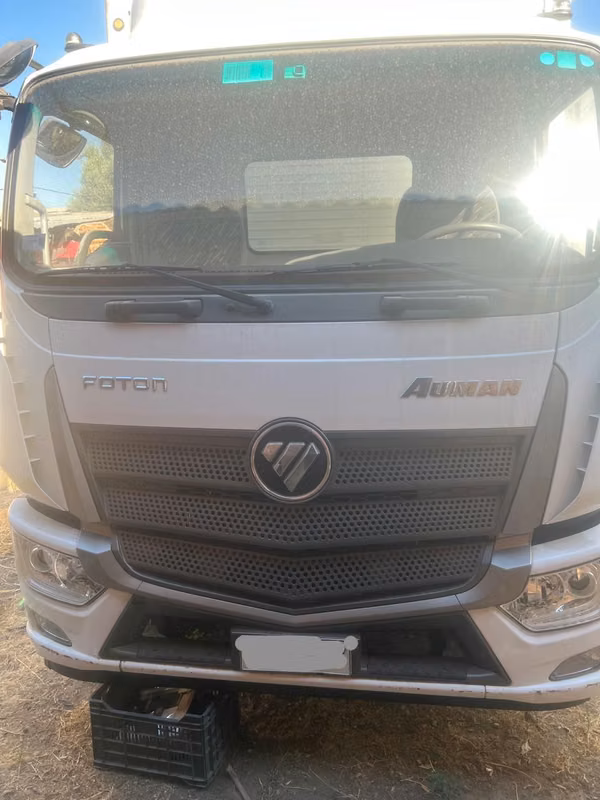 Camión Foton 1319