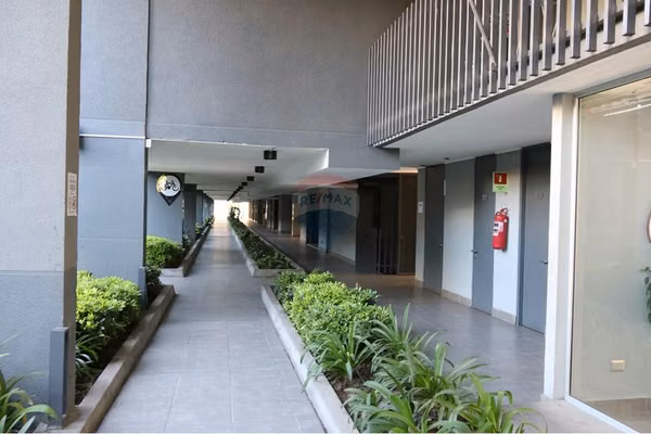 Departamento mariposa sector san miguel