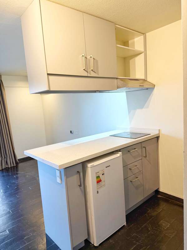 Vendo Estudio Ideal para Airbnb en Santiago (150149)