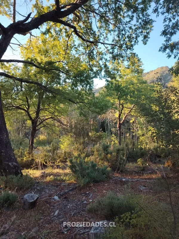 Parcela en venta en Coihueco