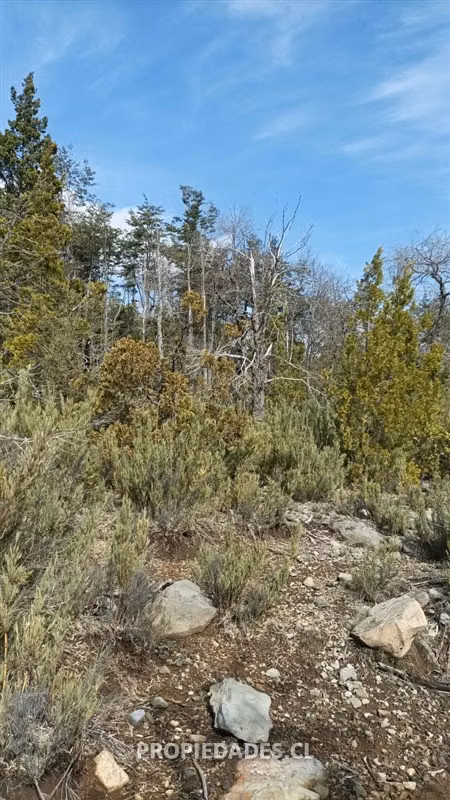 Agrícola en venta en Coihueco