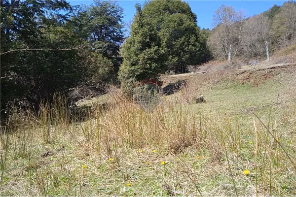 Pucón - parcela en venta en sector huife