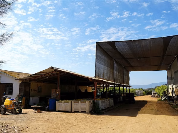 Parcela Agrícola en venta en Lliu Lliu, Limache