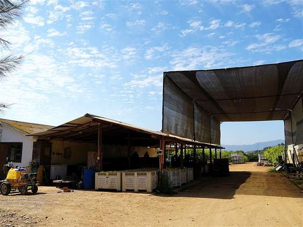 Parcela Agrícola en venta en Lliu Lliu, Limache