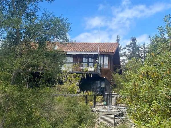Alcazar de Torres / VEGETACION