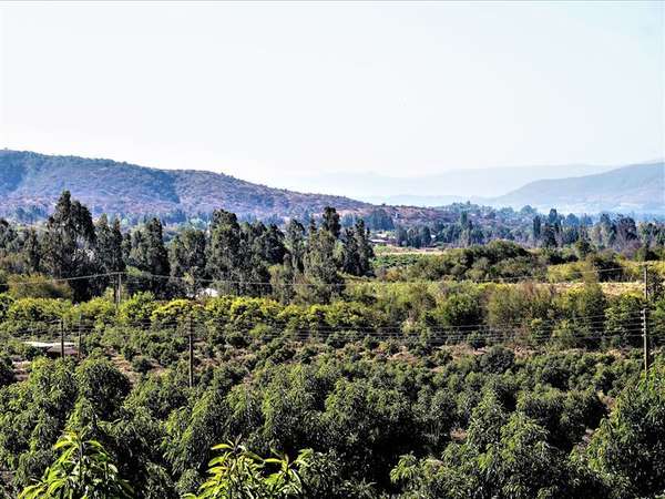 Parcela en Venta en Limache