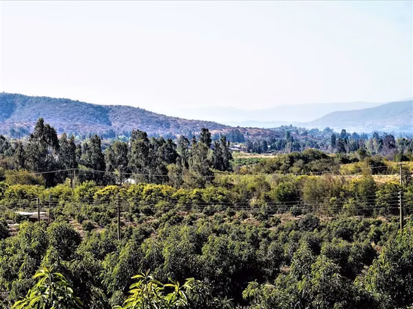 Agrícola en Venta en Limache