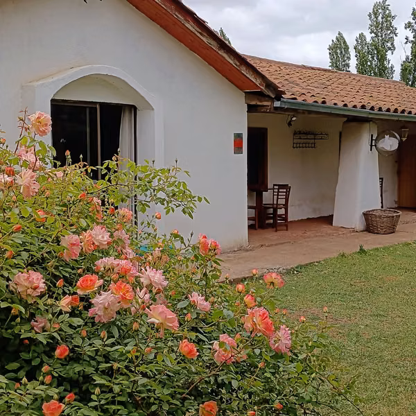 RESTAURANT Y PARCELA EN VENTA, SAN RAFAEL, MAULE